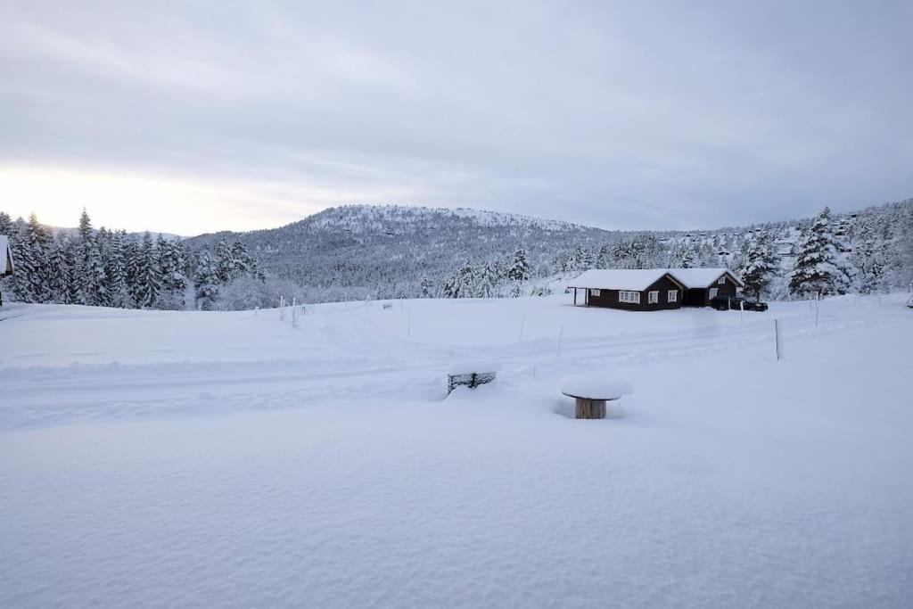 Ny Og Moderne Hytte I Stryn. Solrik Plassering Villa Exterior photo